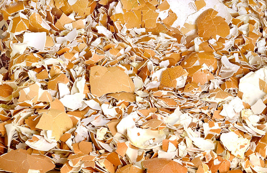 Tojáshéj: Ingyenes, Természetes Ásványi Kiegészítő a Ház körüli Feladatokhoz