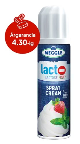 Meggle Laktóz- és hozzáadott cukor mentes tejszínhabspray 22%